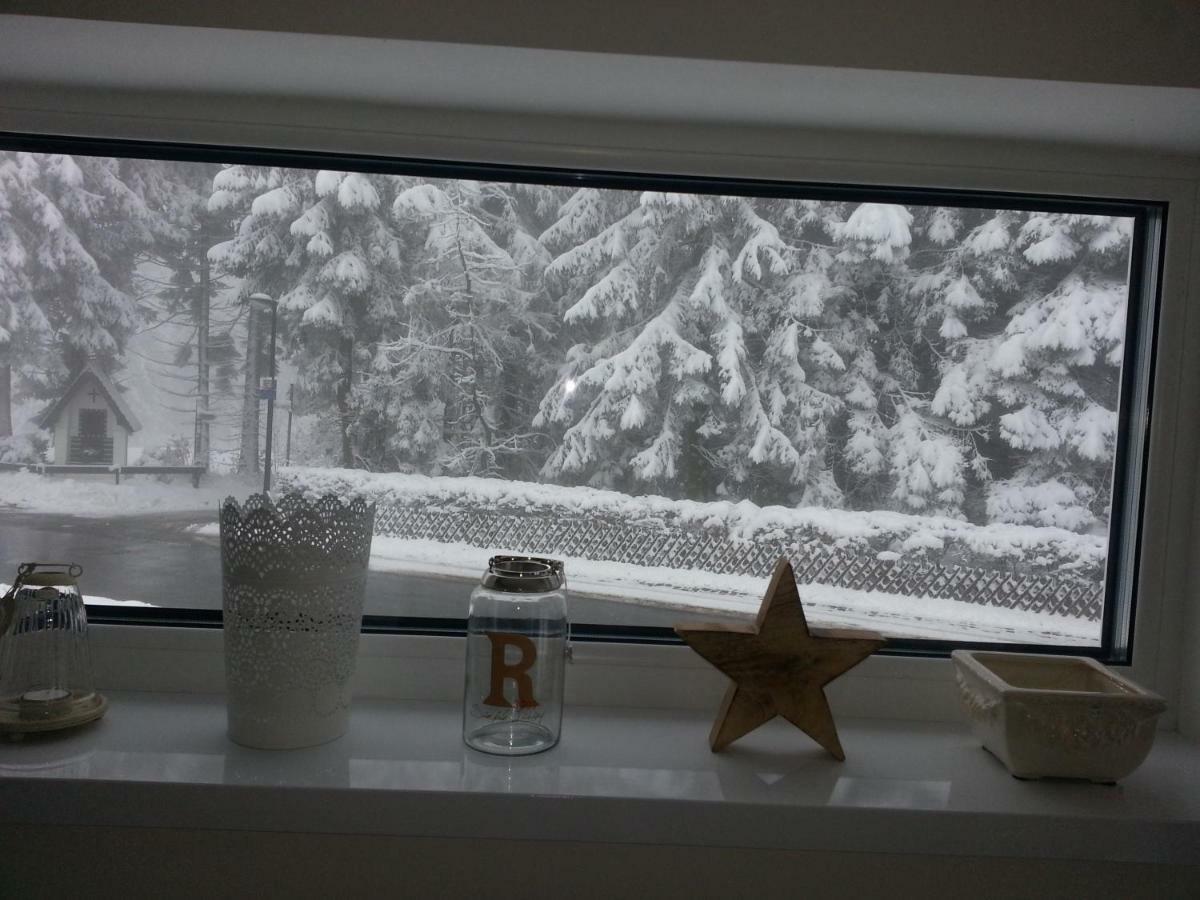 Ferienhaus Bergidylle Winterberg Luaran gambar