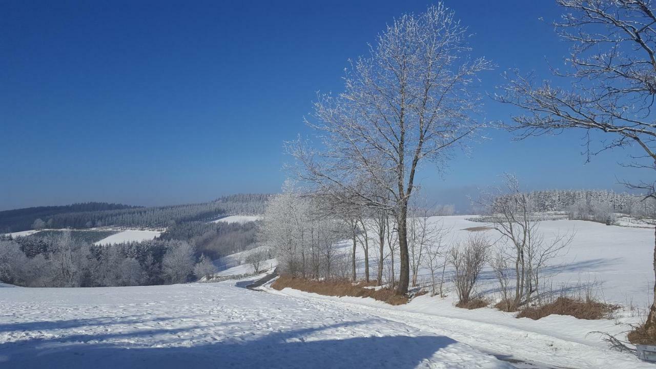Ferienhaus Bergidylle Winterberg Luaran gambar