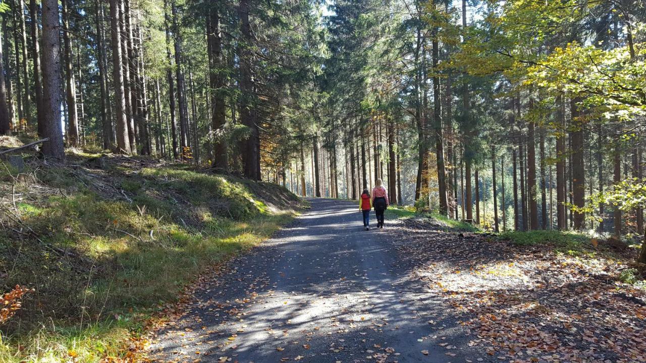 Ferienhaus Bergidylle Winterberg Luaran gambar