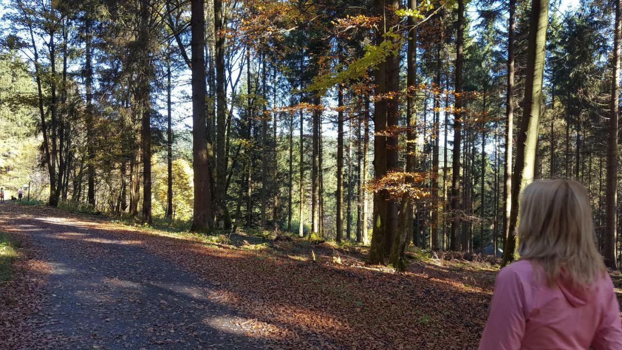 Ferienhaus Bergidylle Winterberg Luaran gambar
