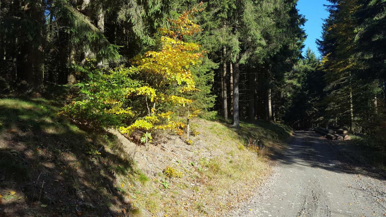 Ferienhaus Bergidylle Winterberg Luaran gambar