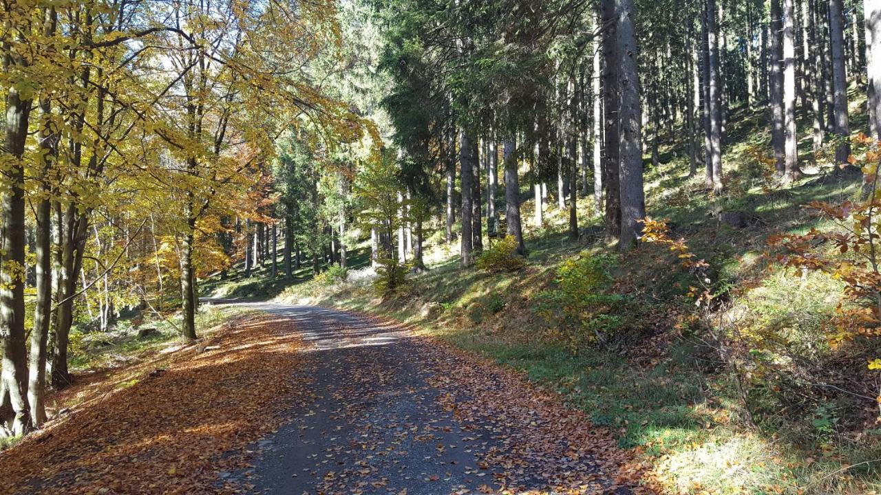 Ferienhaus Bergidylle Winterberg Luaran gambar