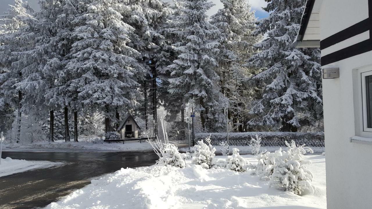 Ferienhaus Bergidylle Winterberg Luaran gambar