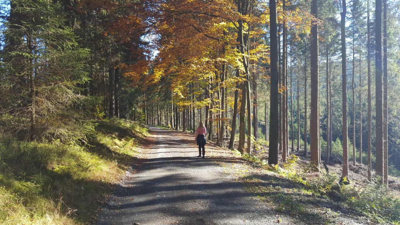 Ferienhaus Bergidylle Winterberg Luaran gambar