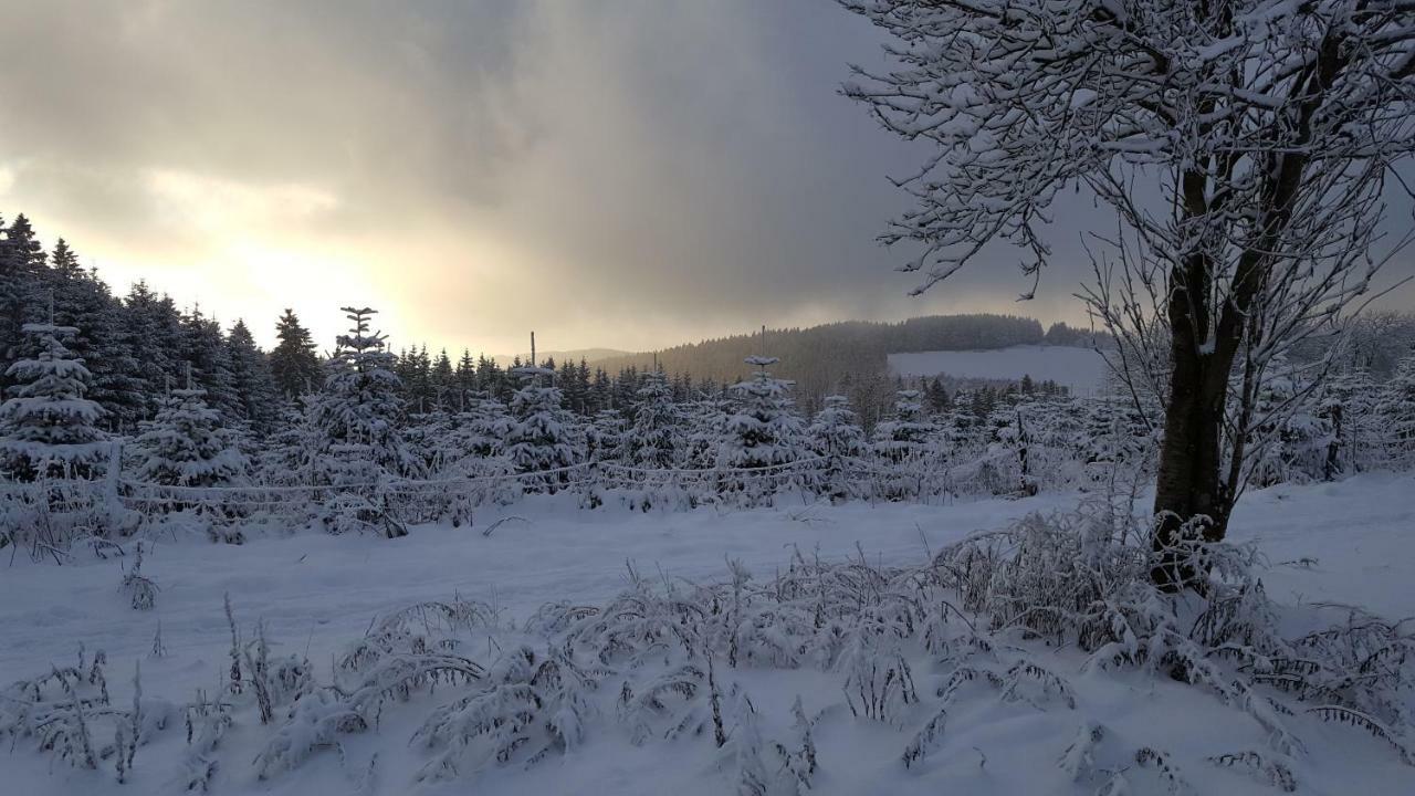 Ferienhaus Bergidylle Winterberg Luaran gambar