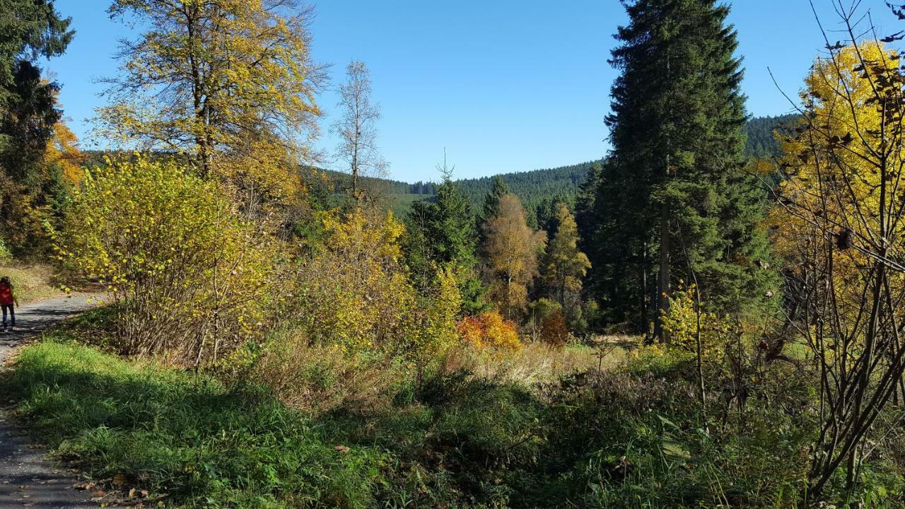 Ferienhaus Bergidylle Winterberg Luaran gambar